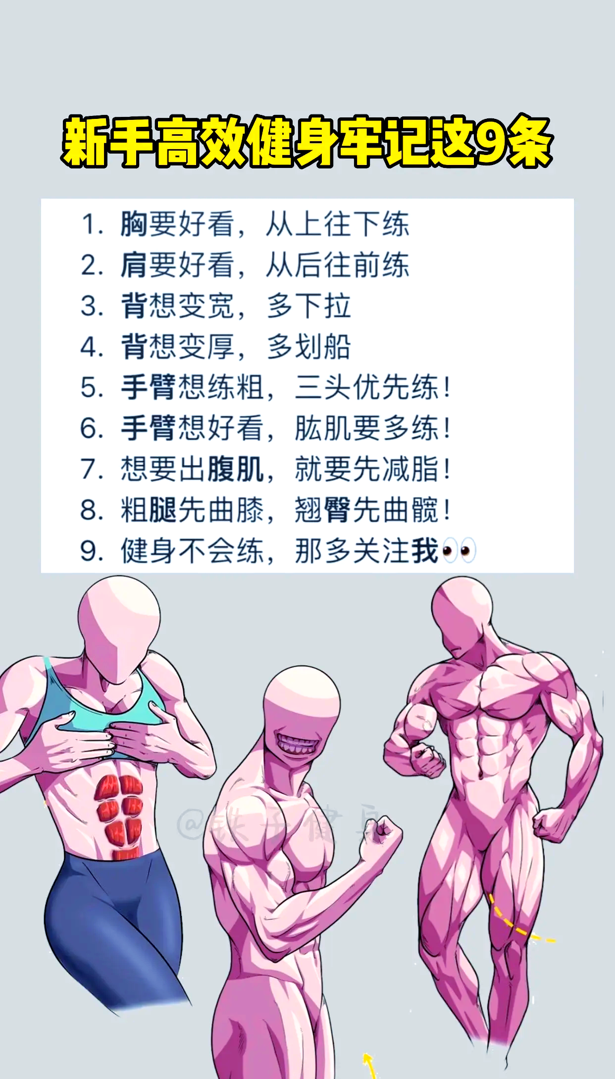 b体育app-包含运动员的日常训练秘籍：打造“铁人”身体素质的词条