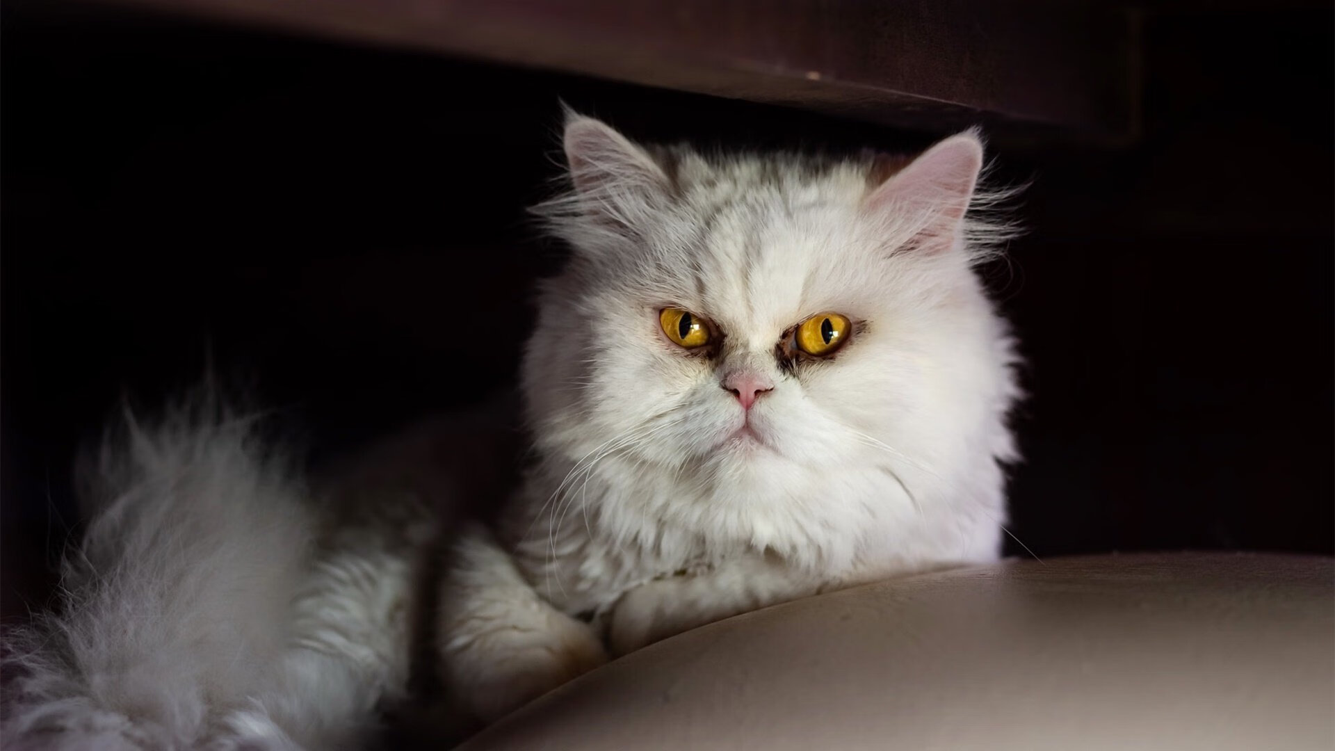 B体育(CHINA)官方网站-_火箭队逐步反弹，状态逐渐回升_，火箭队状况