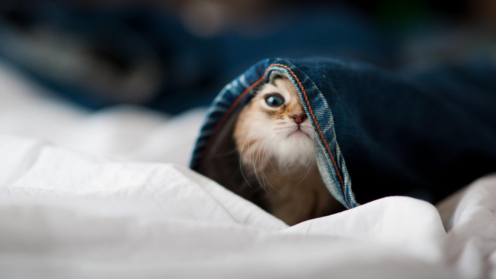 【训练技巧】丁俊晖:数十年的康复与精细训练经验分享,丁俊晖介绍