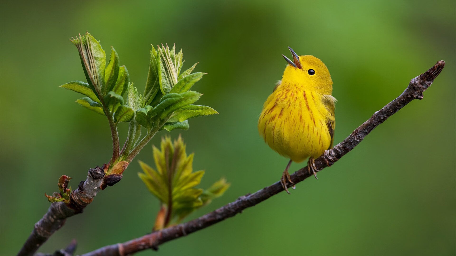 哥伦比亚女足在巴黎奥运会上表现出色，赢得多场比赛，哥伦比亚足球美女