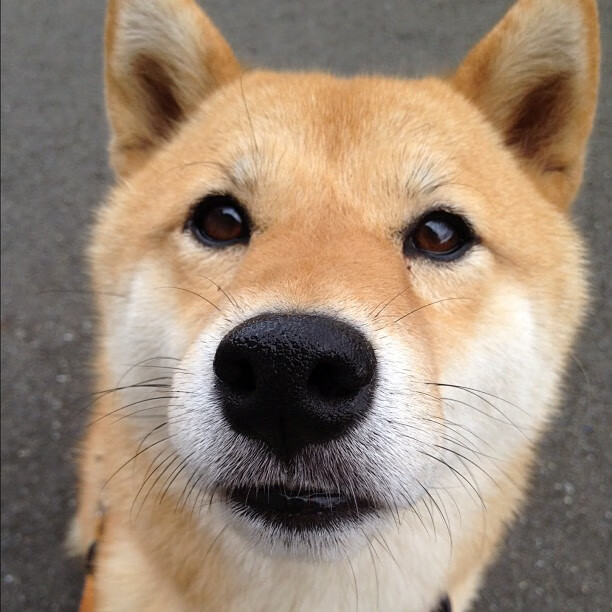 哥伦比亚女足在巴黎奥运会比赛中以1-0战胜意大利,哥伦比亚足球2021