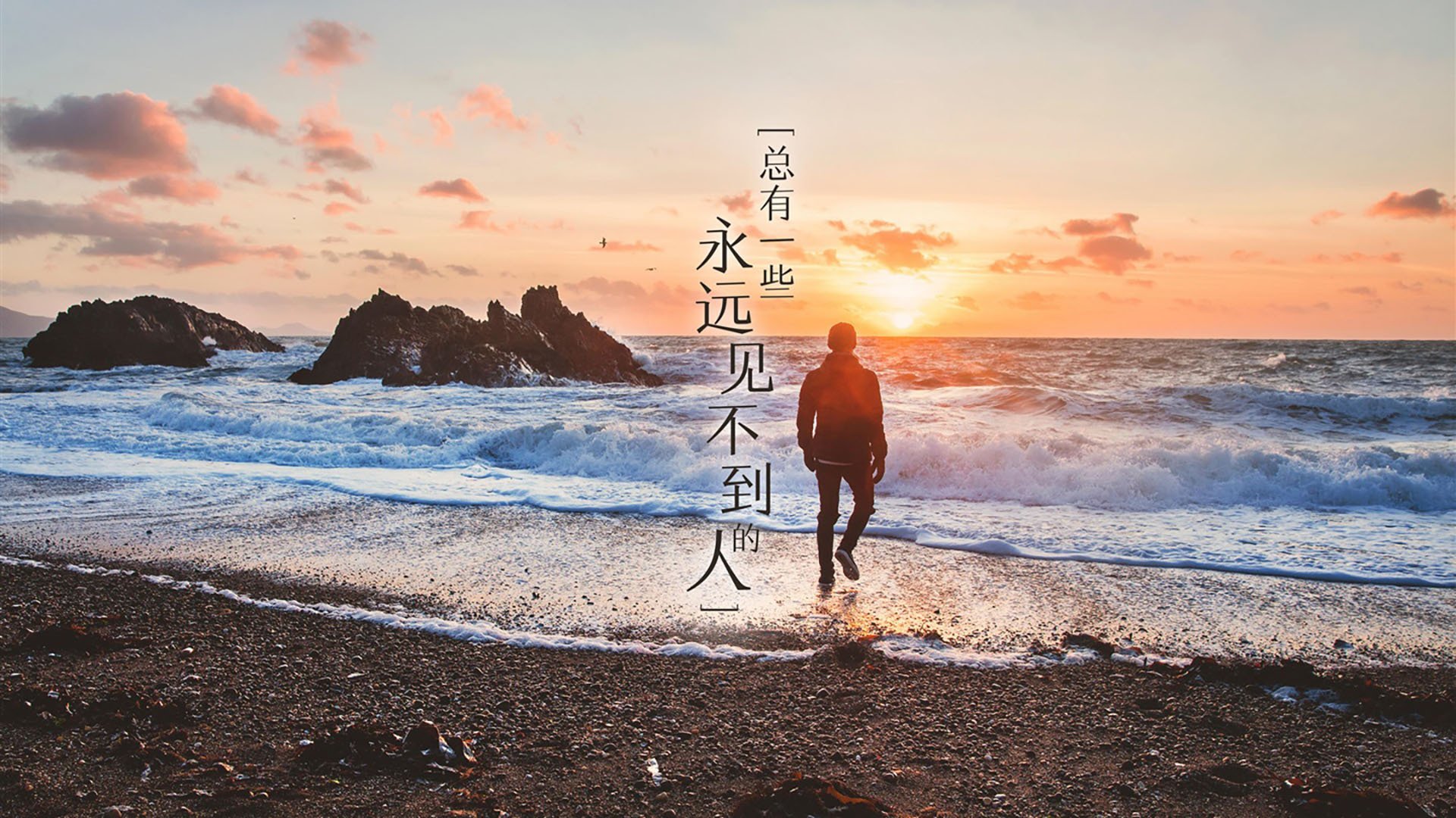 环保材料在赛车中的应用新进展,汽车环保材料在汽车上的使用前景