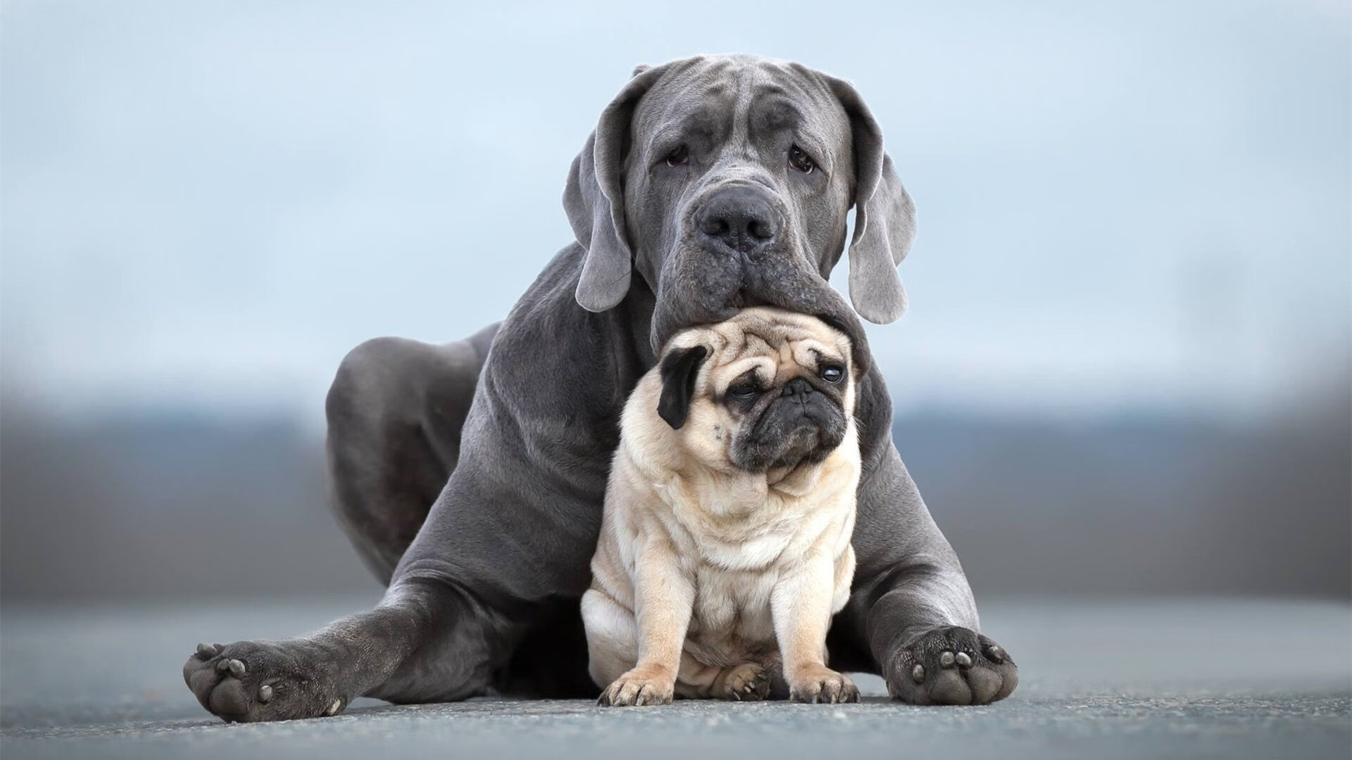 b体育电竞-自然界之巅徒步竞速，挑战极限的荒野之旅，户外大自然徒步的好处