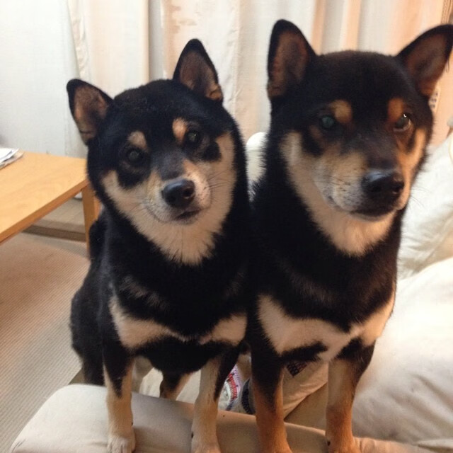 自然界之巅徒步竞速,挑战极限的荒野之旅,户外大自然徒步的好处