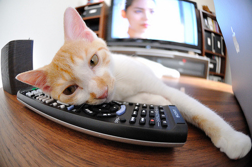 青少年篮球“星耀青春”线上直播活动引爆网络热潮,有没有青少年篮球训练视频网址