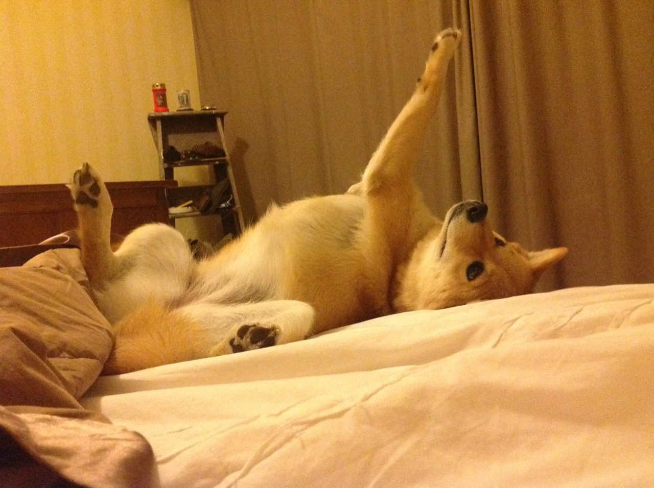 LCK赛季总结及展望,lck新赛季阵容