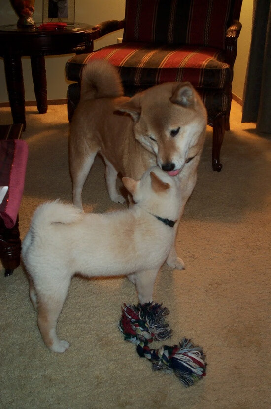 国足展现强大实力，晋级国际赛决赛，国足国际杯