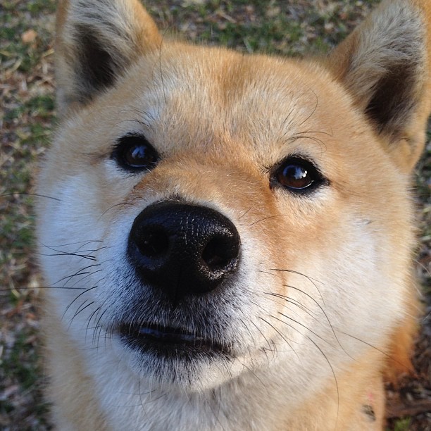 太阳击败凯尔特人,东部决赛中杜兰特贡献关键助攻,杜兰特篮网凯尔特人