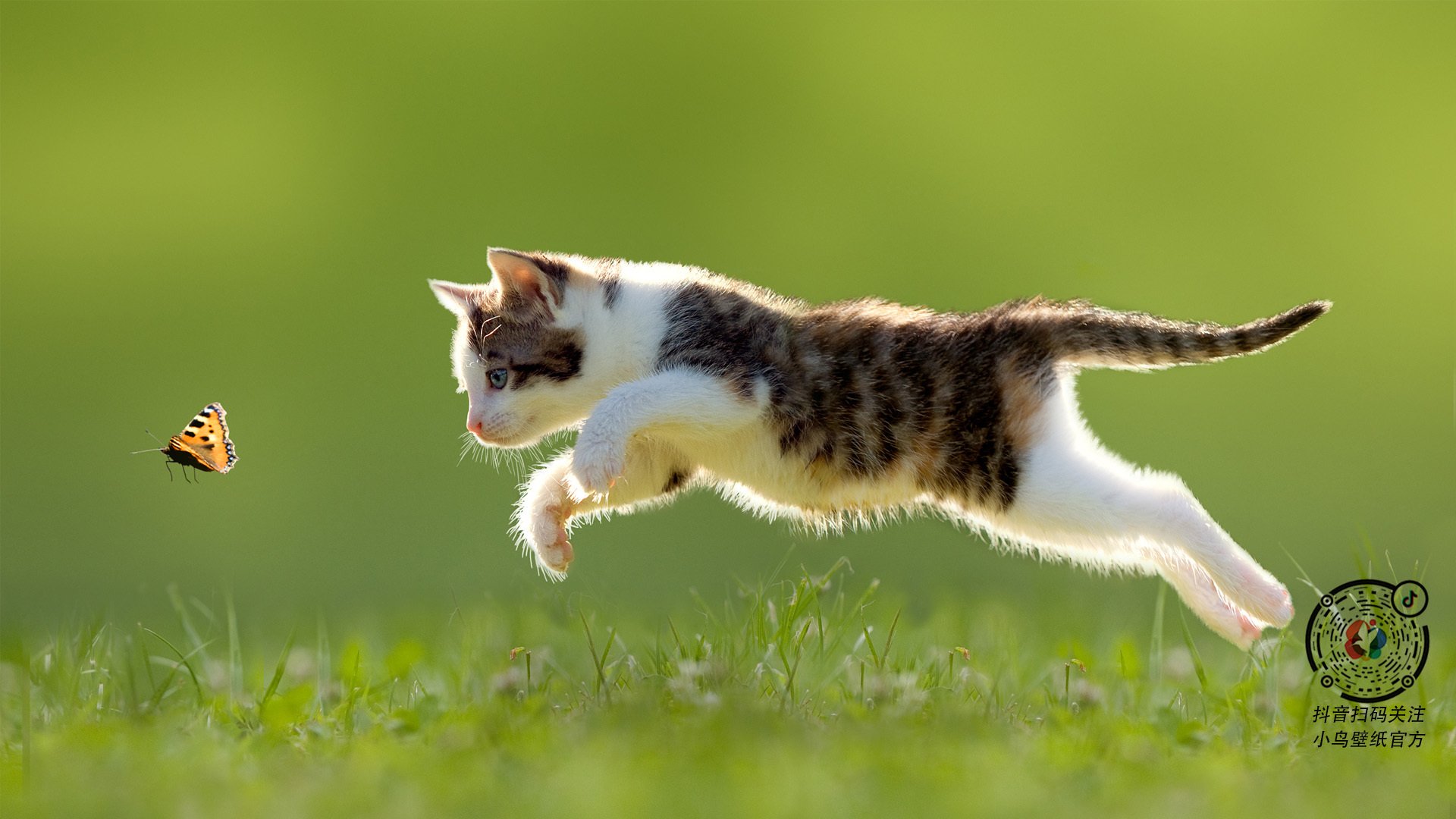 弗拉门戈球员伤愈复出,弗拉门戈历史