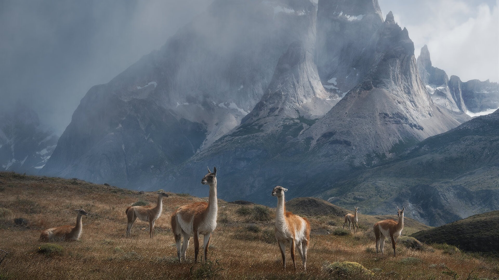 电竞电竞赛事转播技术创新及高质量直播体验优化研究，电竞直转播是什么