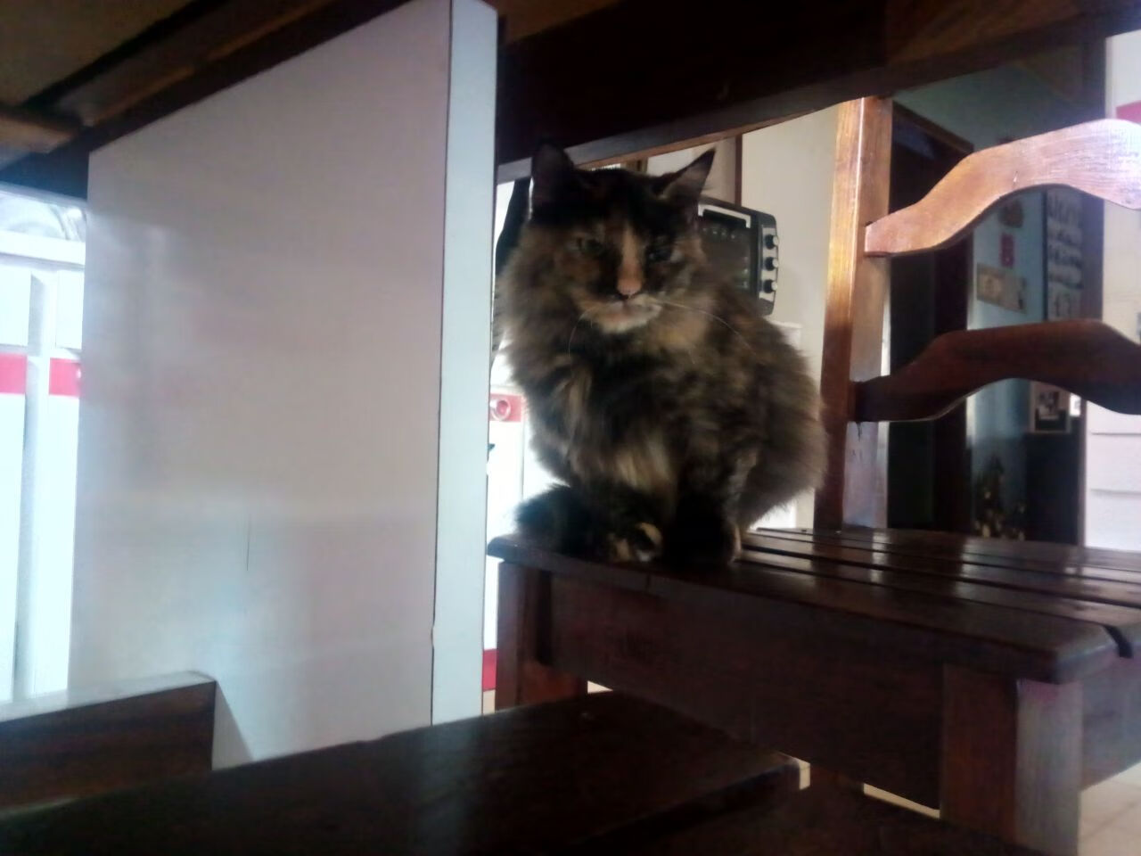 索肖主场爆冷负于尼姆，比分惨重，索肖对巴黎fc预测分析