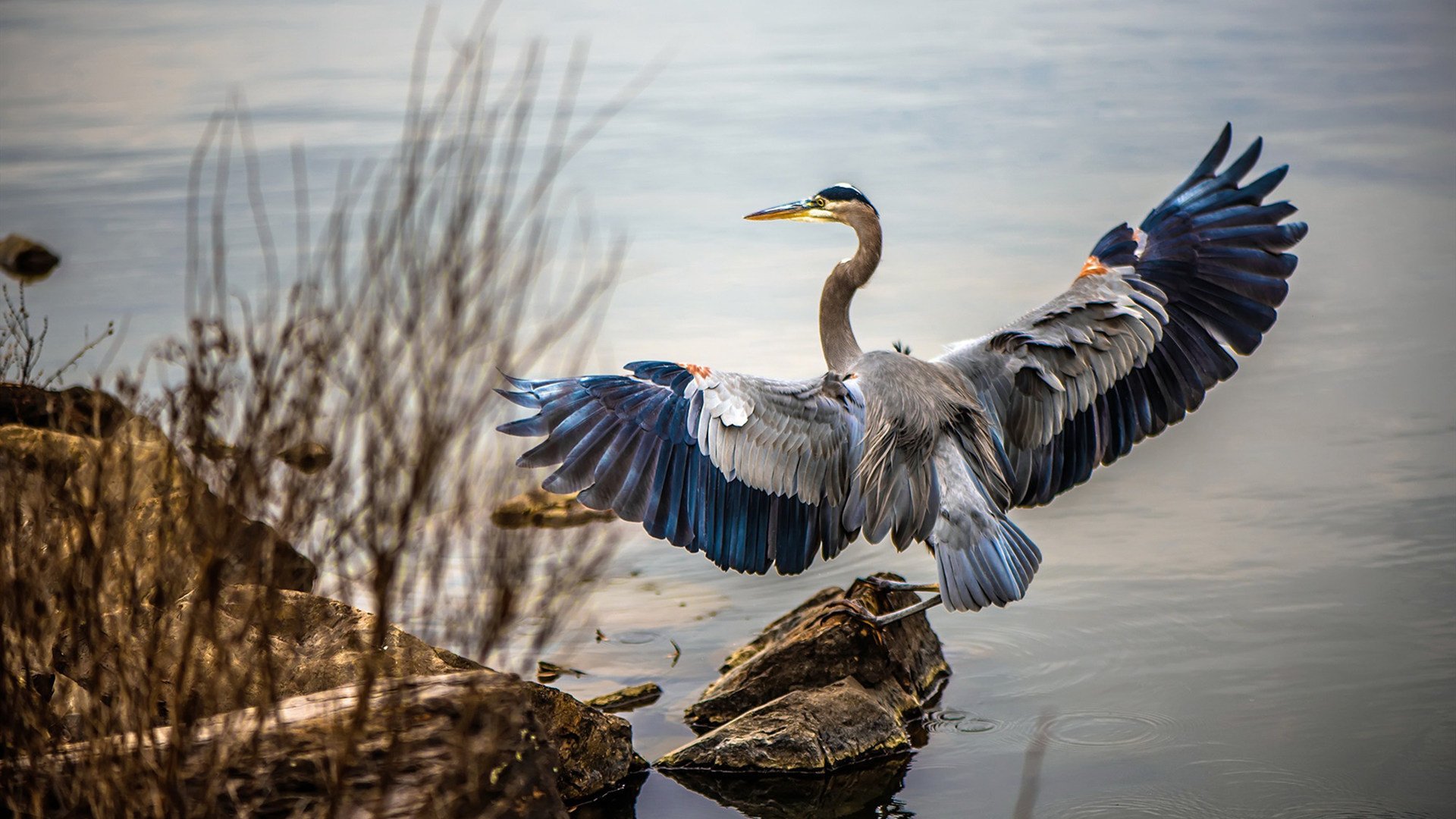 英格兰女足双杀对手,晋级状况一片大好,英格兰女足队员