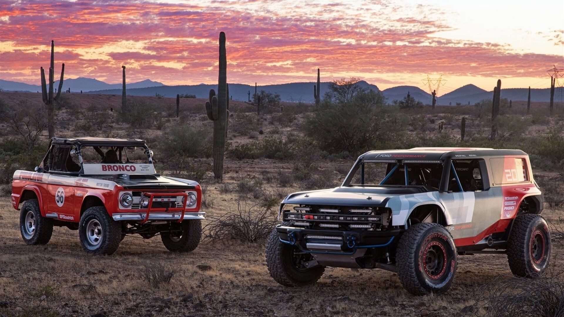 阿斯顿维拉官方宣布球员转会,增强实力,阿斯顿维拉球迷