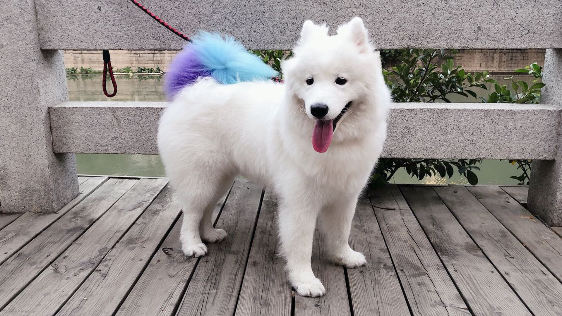 马德里竞技遭遇重大伤病,球队面临困境,马德里竞技主力11人