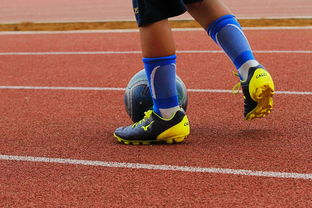 b体育直播-中国青少年篮球运动员身体机能发展研究，我国篮球青少年运动发展现状