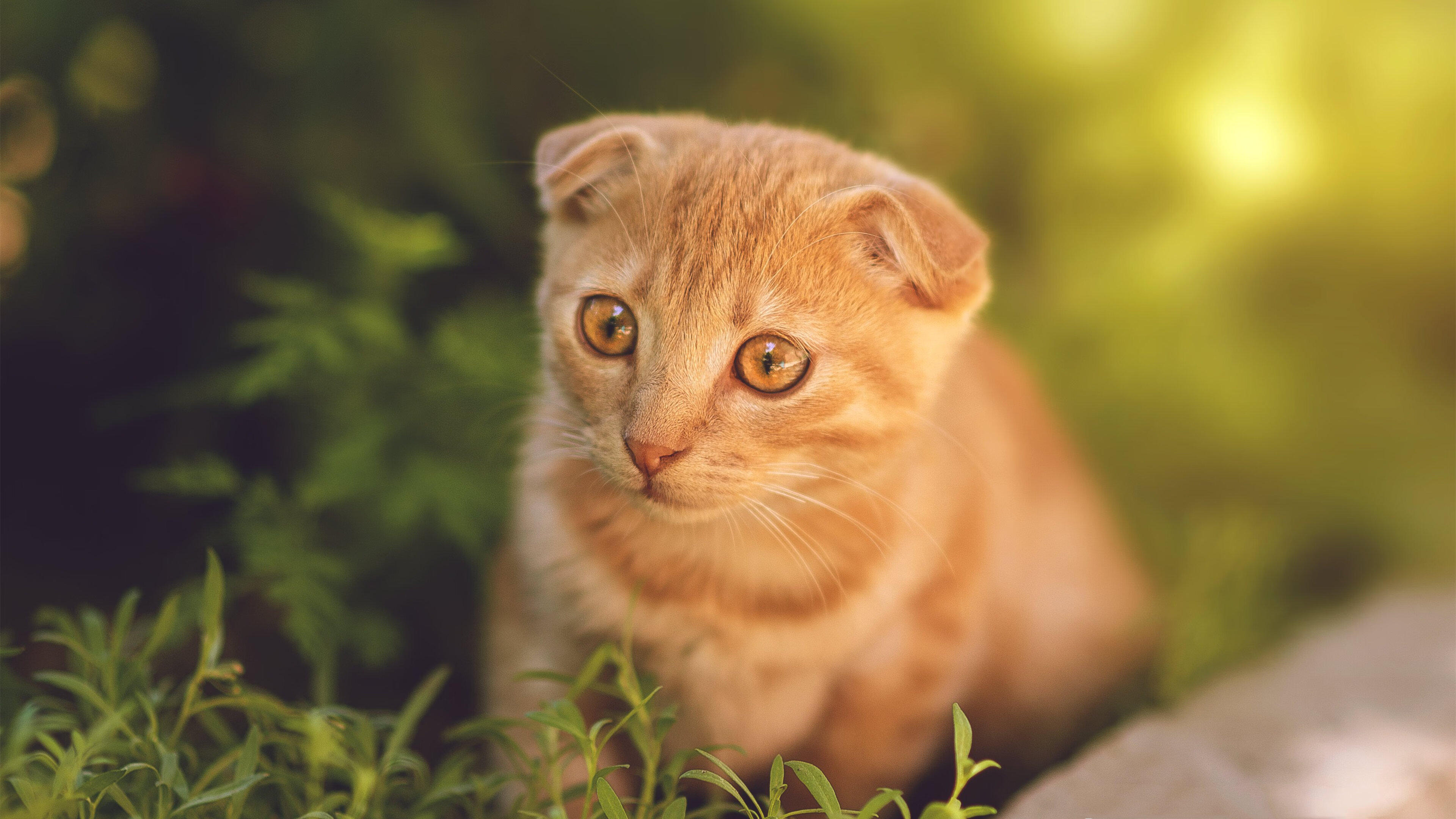 B体育网页版登录-中超主力球员伤病恢复期数据研究，中超恢复主客场