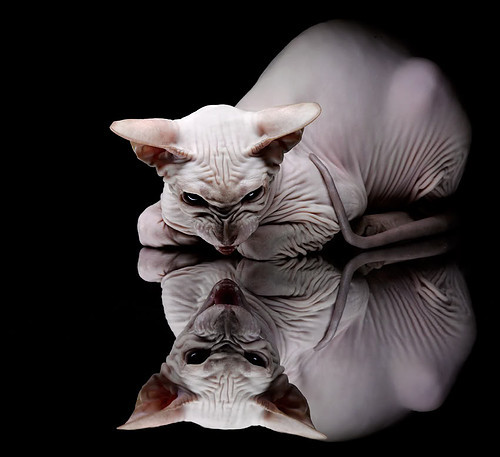 运动行为对青少年社交焦虑的干预成效评估,运动对青少年运动系统的影响