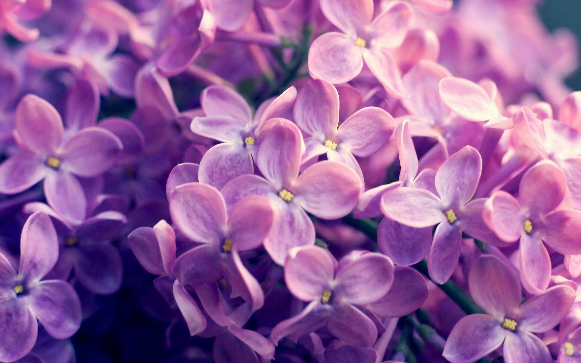 b体育app-“成都滑轮赛场：谁将成为滑轮运动的新王者？”