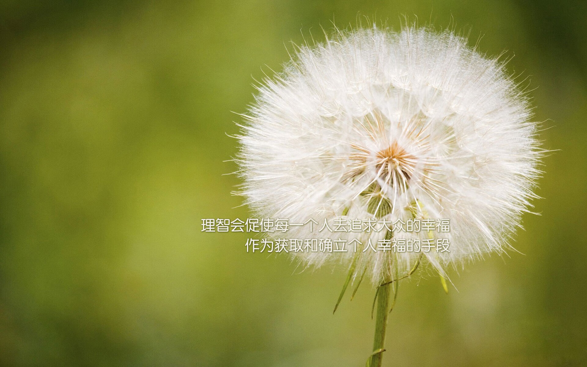 亚洲杯U23国足惨败 技术分析引深思,亚洲u23男足锦标赛