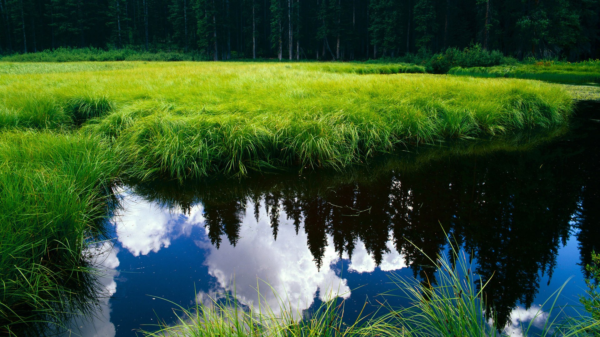 印度队未来:加大资源投入,打造世界级乒乓球队伍,印度乒乓球员