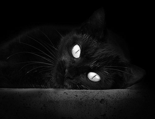 心理节奏控制能力最强的控卫观察,控制心理是什么